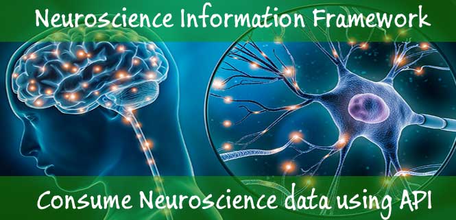 neuroscience information data
